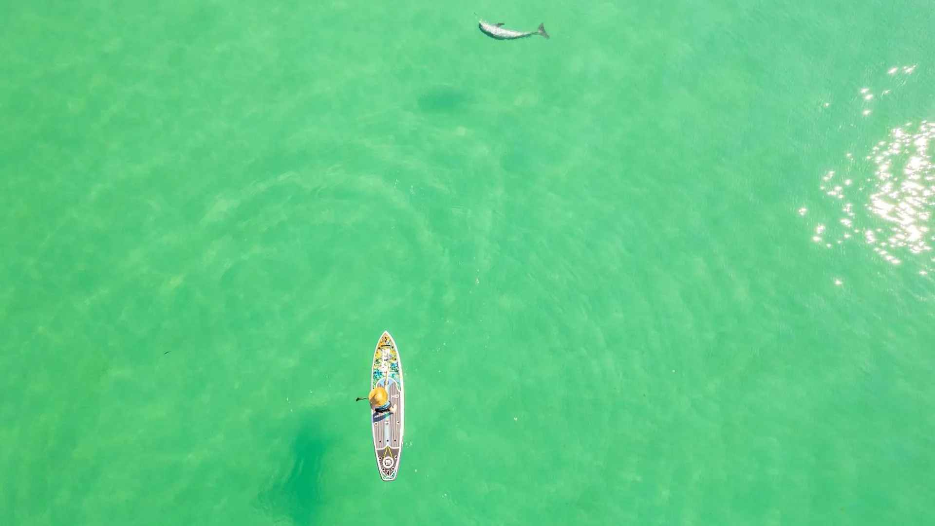 Apartment Sandpiper Cove 4133- By Holiday Isle Properties Destin United States