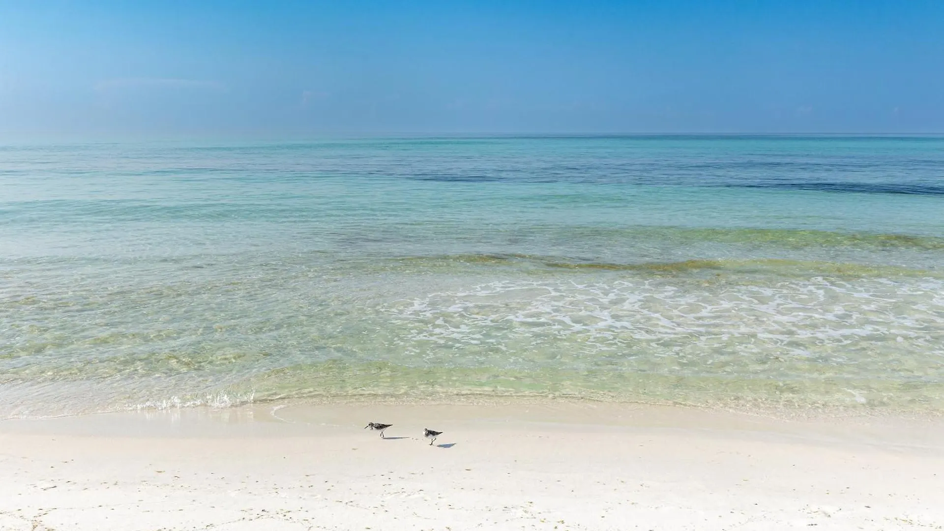 Sandpiper Cove 4133- By Holiday Isle Properties Destin